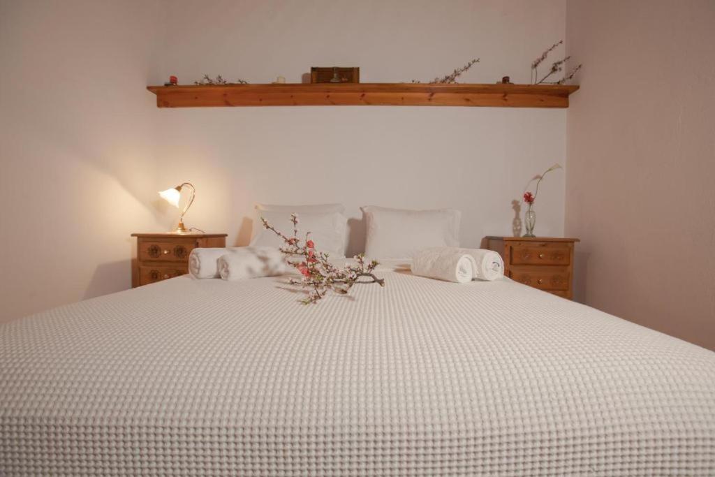 Eremia Rustic House - Entire Villa In Pelion Макрініца Екстер'єр фото